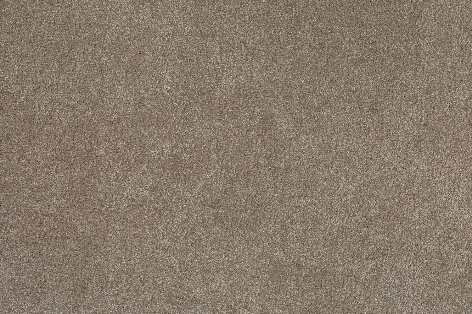 Bakara 834 Cocoa