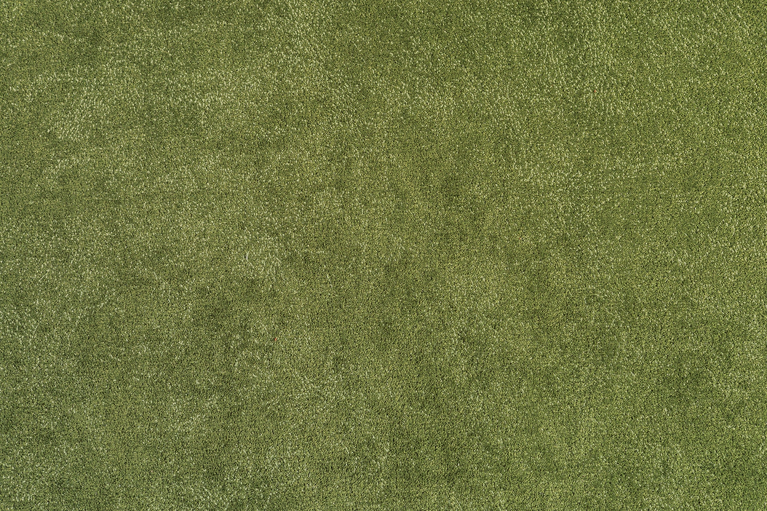 Bakara 838 Grass