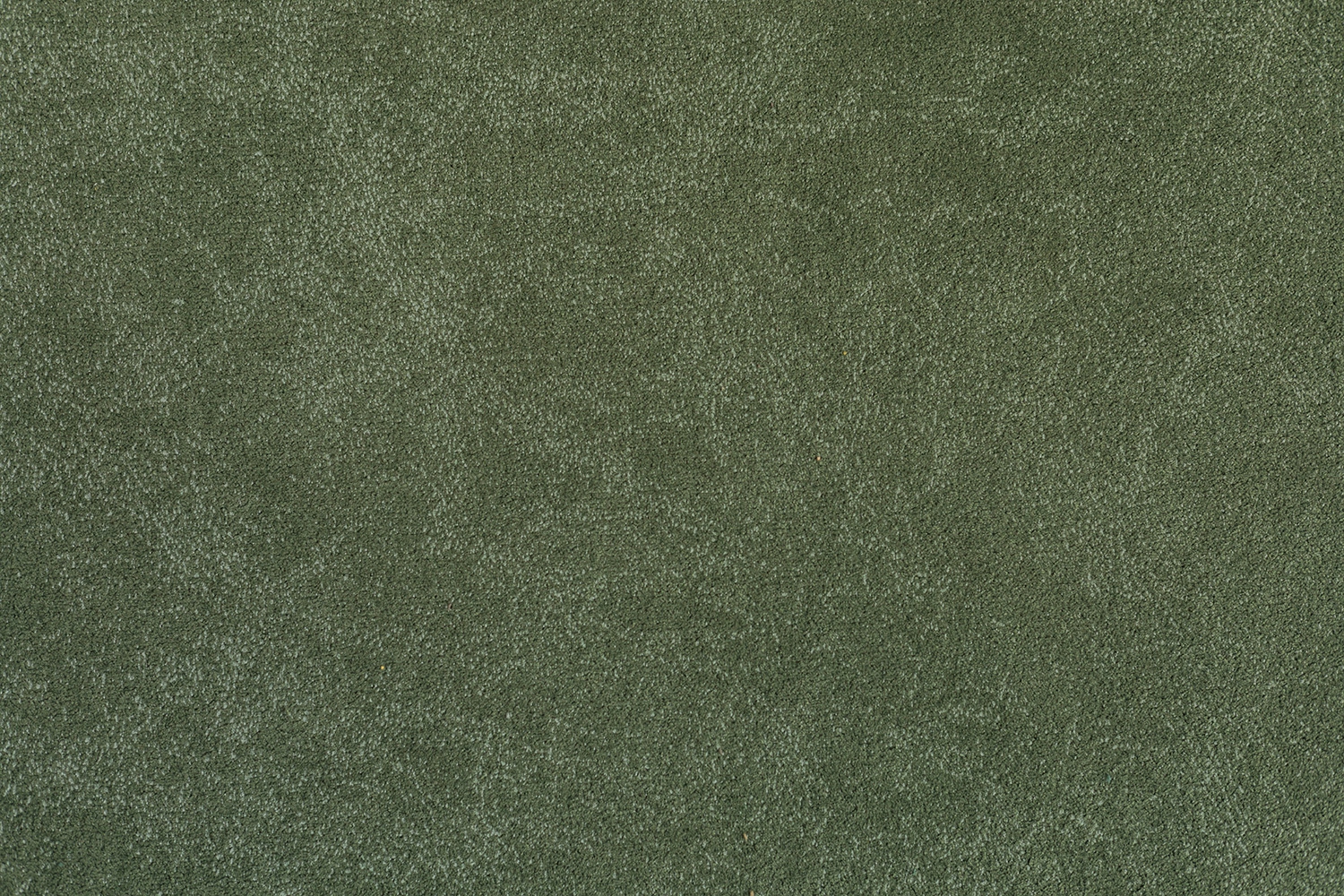 Bakara 840 Moss