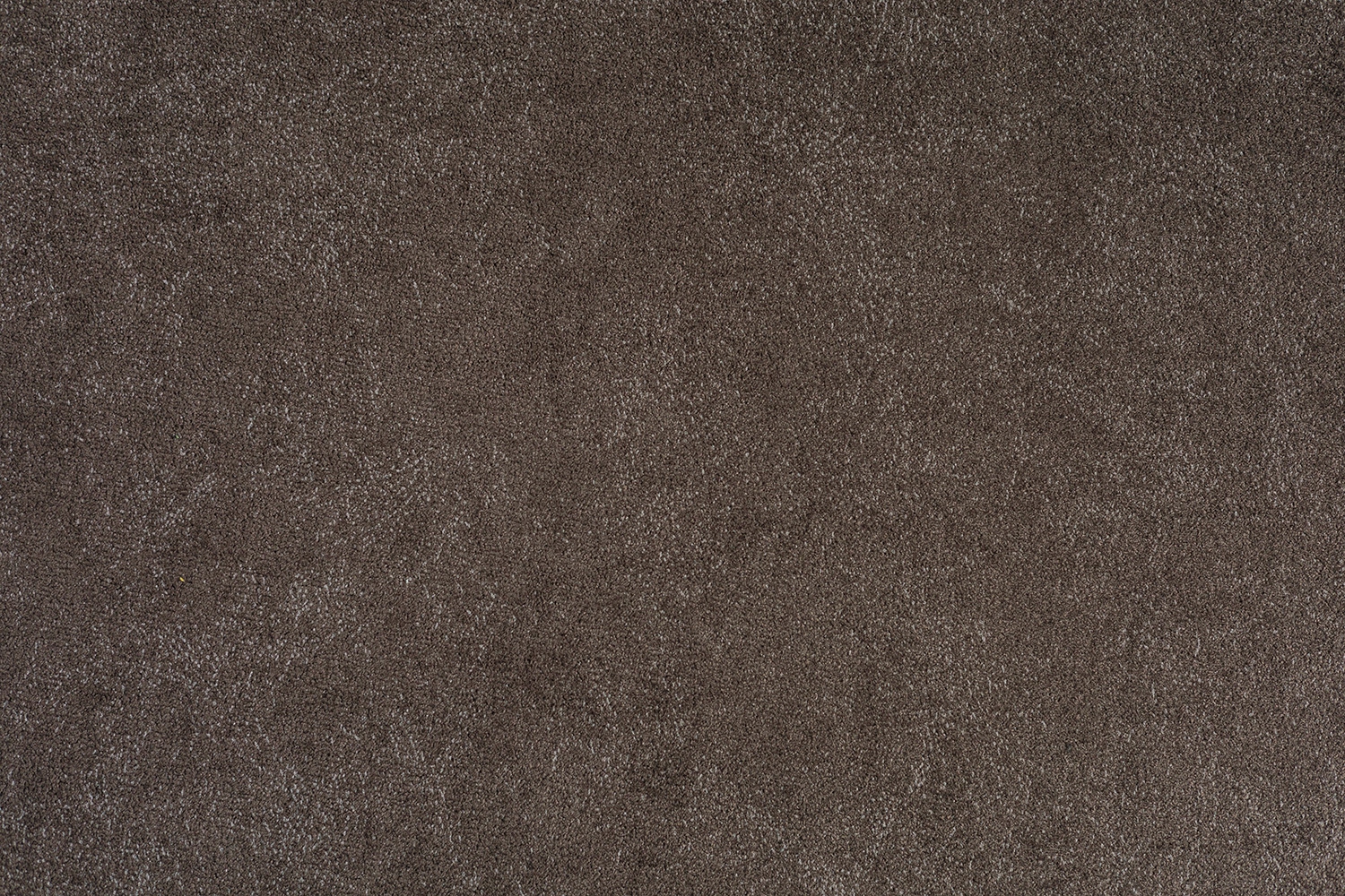 Bakara 841 Umber