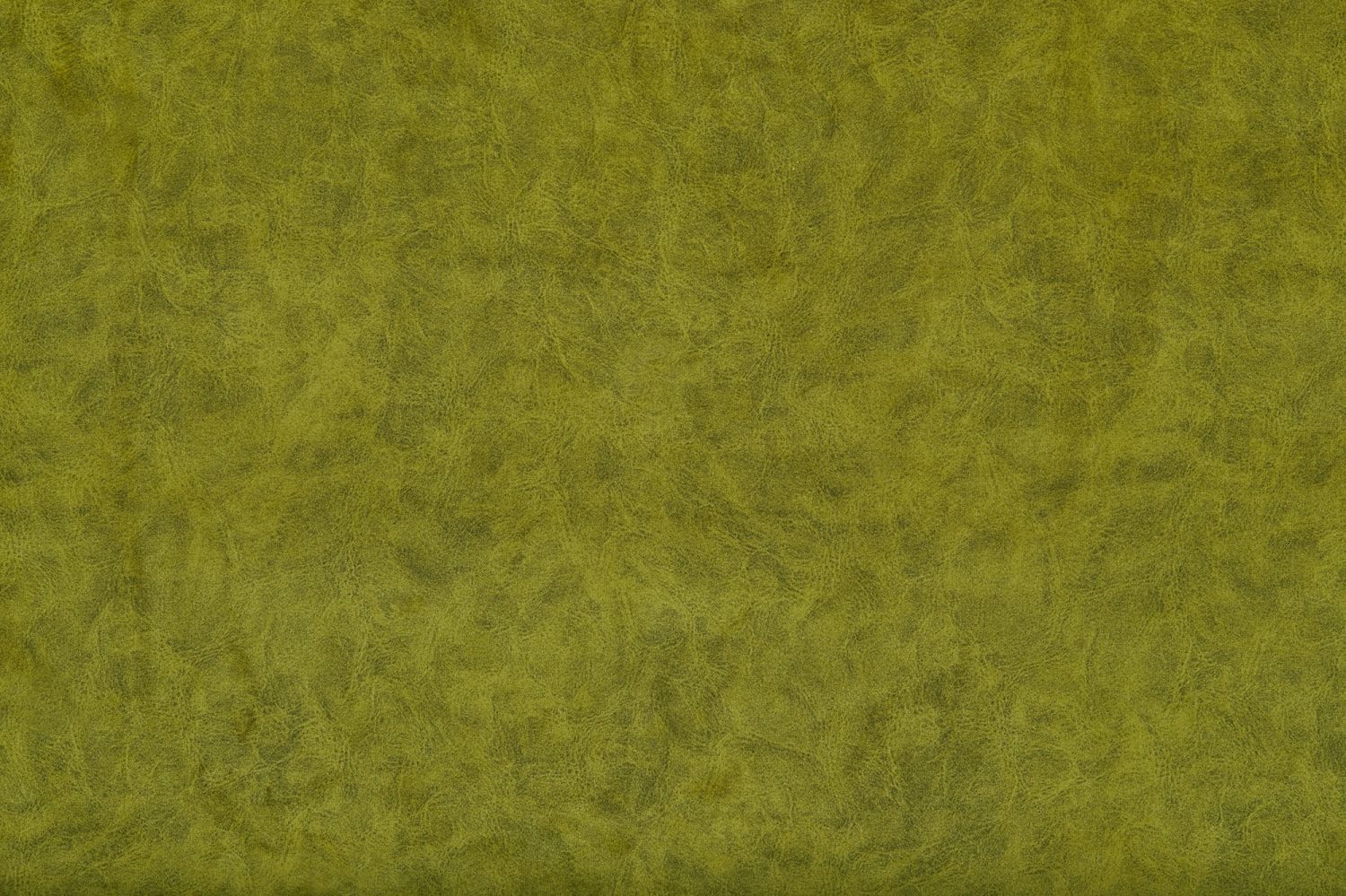 Camel 10 Green Olive