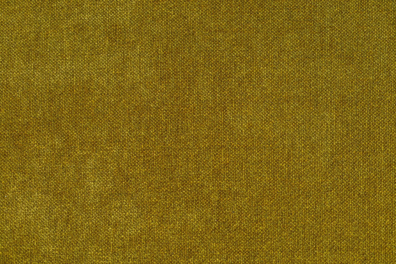 Creed 101 Mustard