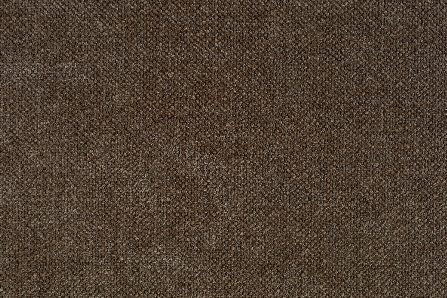 Creed  141 Brown