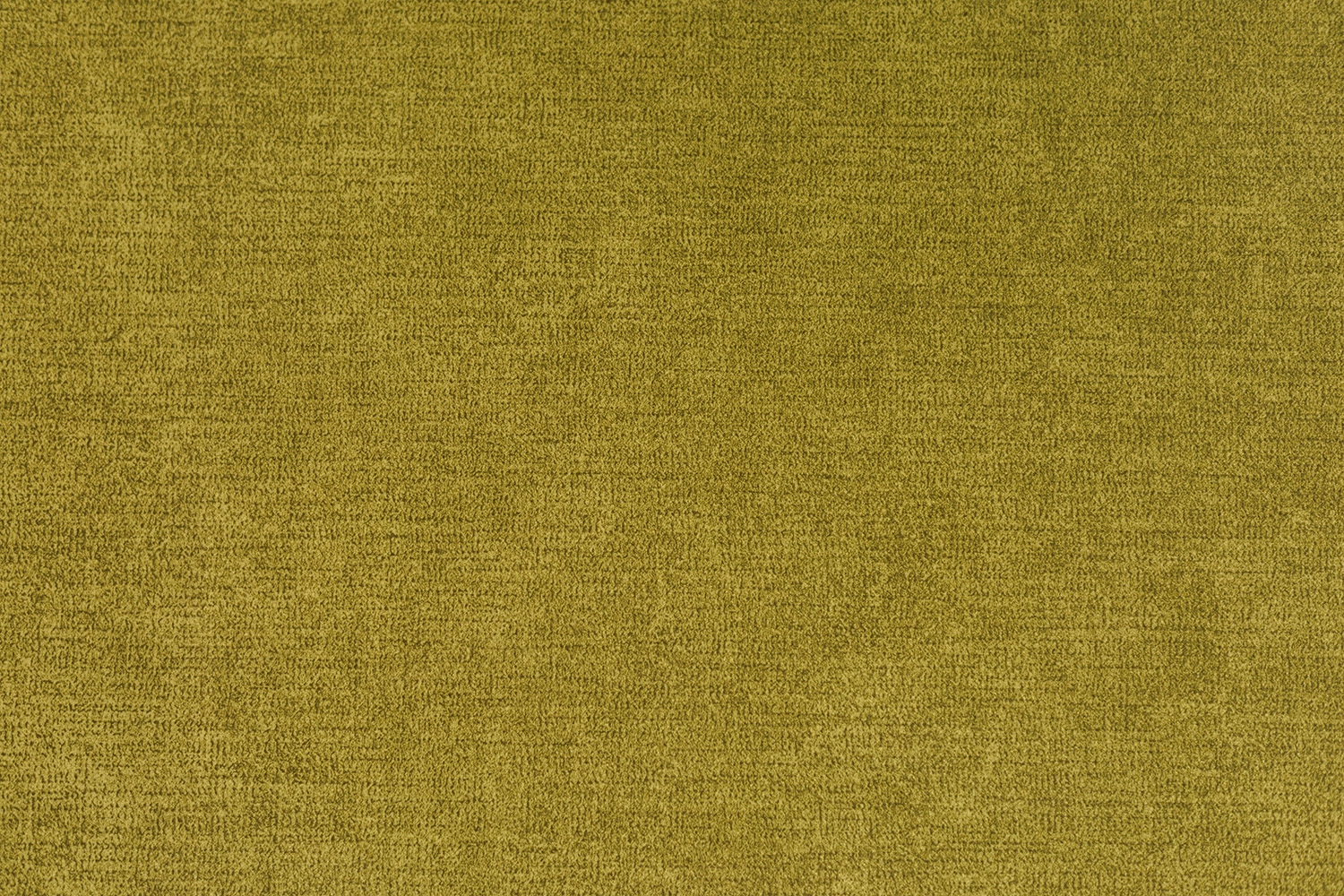 Elba 11 Olive