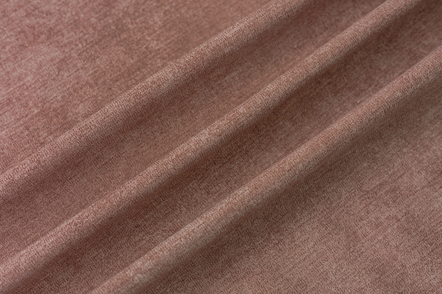 Elba 07 Rose