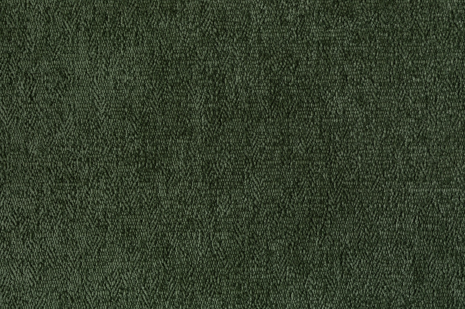 Moon 12 Forest