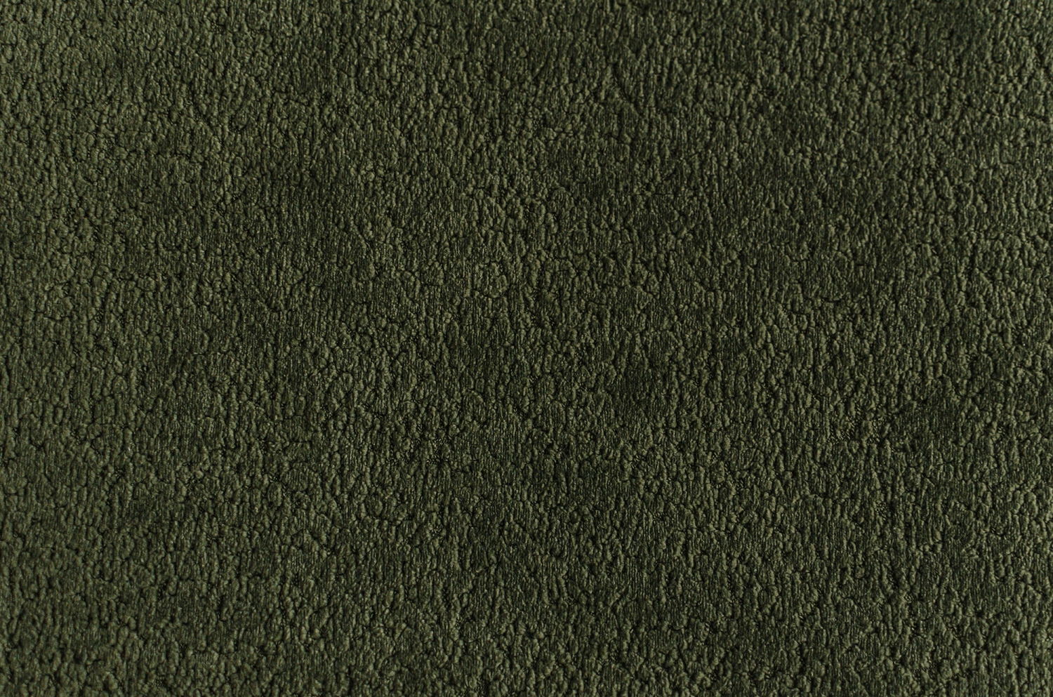 Prime 309 Forest