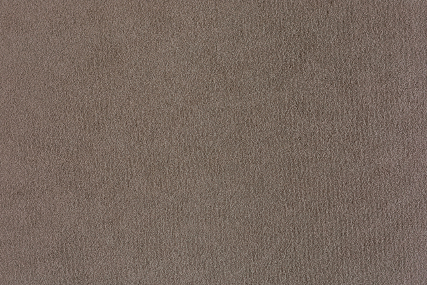Siena 1004 Tint