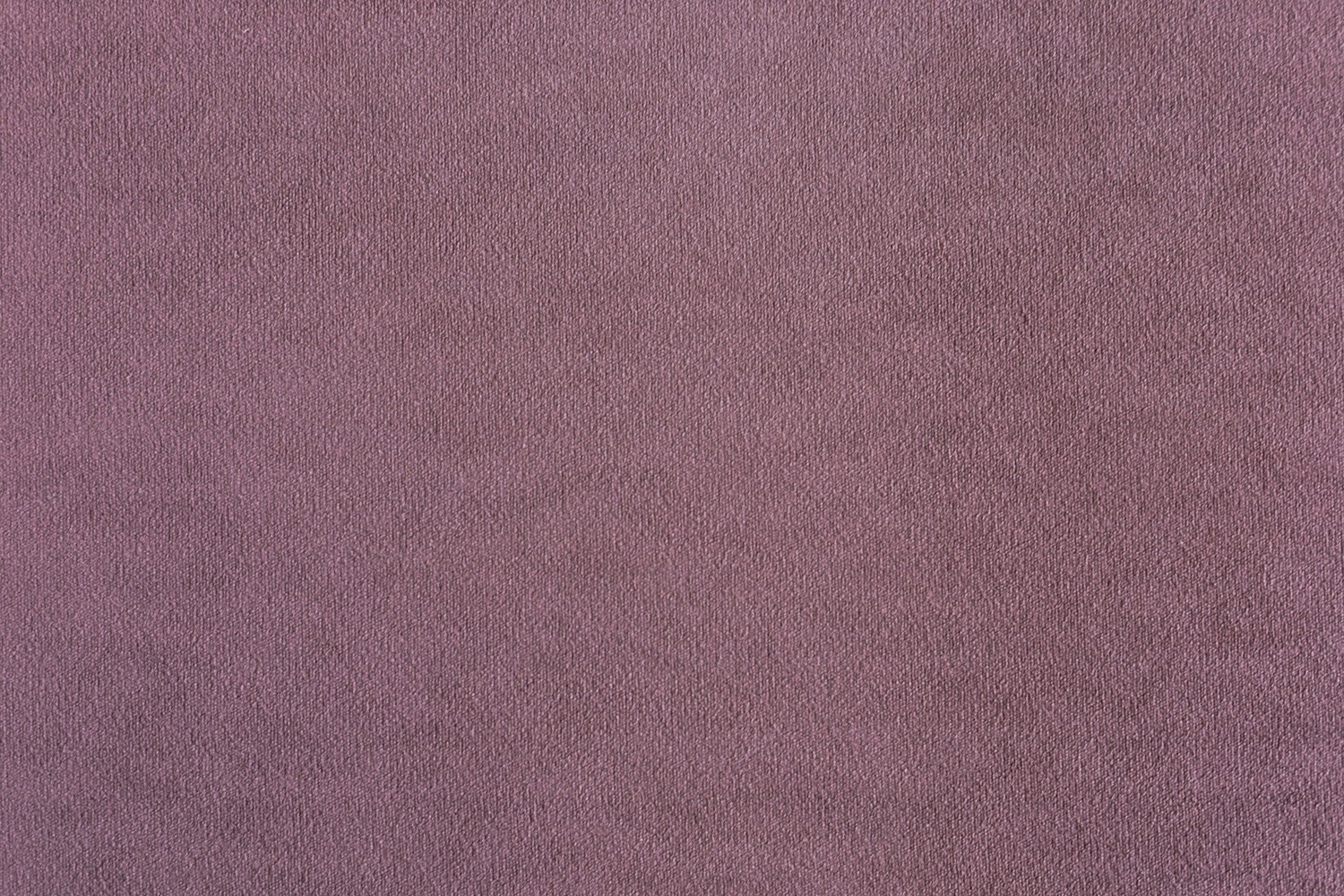 Siena 1025 Lilac