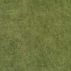 Bakara 838 Grass