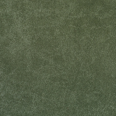 Bakara 840 Moss