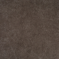 Bakara 841 Umber