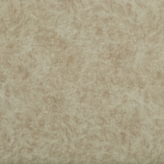 Camel 02 Beige
