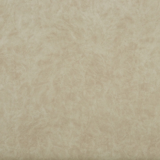 Camel 21 Latte