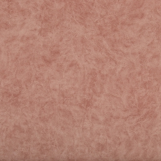 Camel 29 Pink