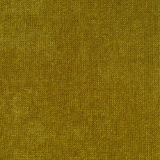 Creed 101 Mustard