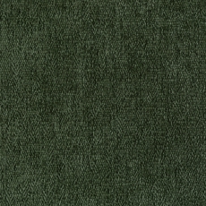 Moon 12 Forest